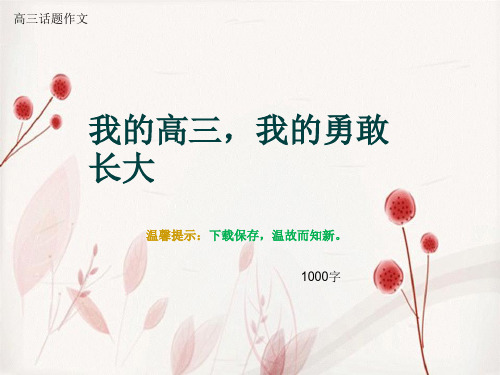 高三话题作文《我的高三,我的勇敢长大》1000字