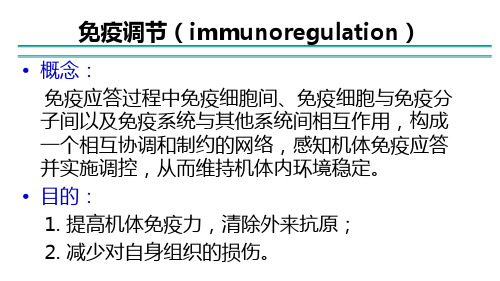 49免疫调节医学免疫学