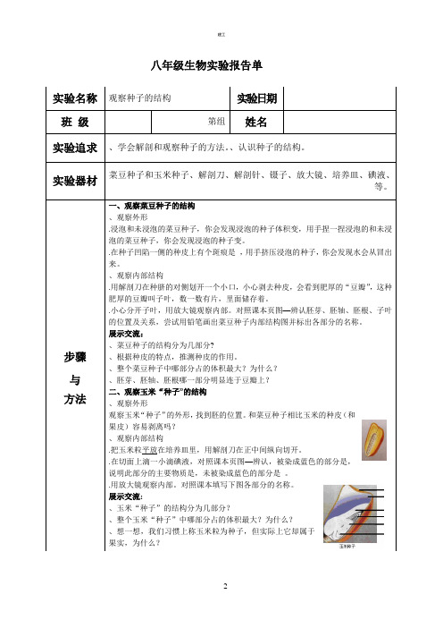 生物实验报告__观察种子的结构(建文)