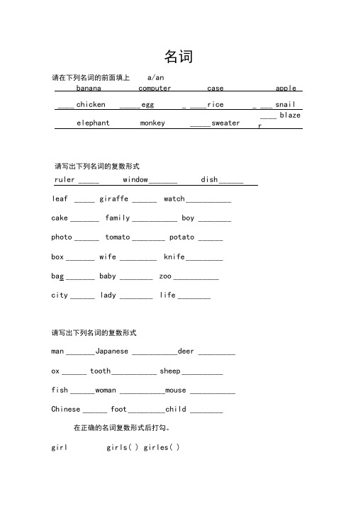 (完整版)小升初名词单复数练习题