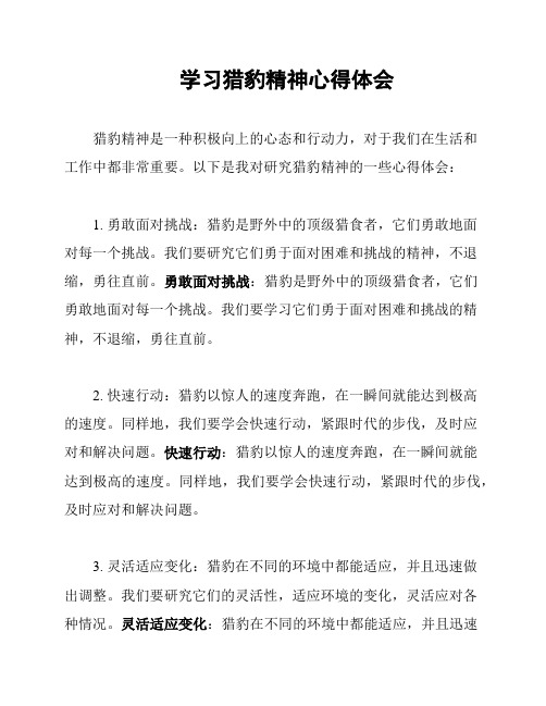 学习猎豹精神心得体会