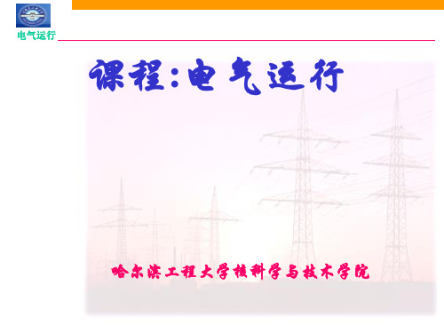 核电厂电气系统-06-1直流系统及不停电电源、事故保安电源