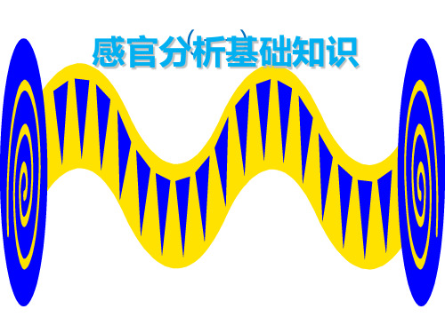 感官分析基础知识一PPT课件