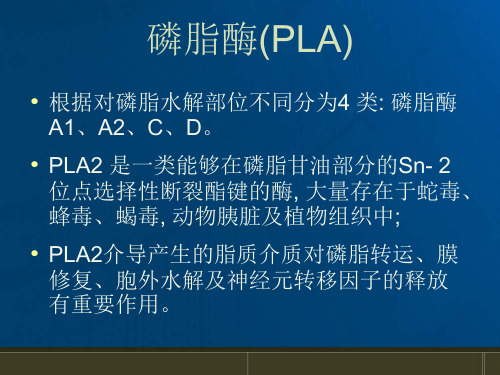 即脂蛋白相关性磷脂酶A2Lp课件