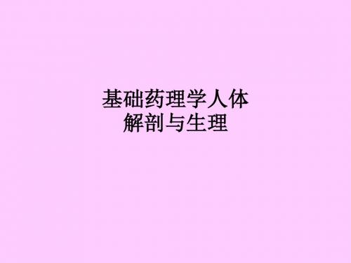 基础药理学人体解剖与生理ppt课件