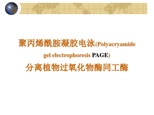 基础生物化学实验课件PPT-植物叶片过氧化物同工酶的PAGE分析