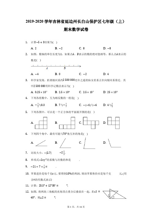 2019-2020学年吉林省延边州长白山保护区七年级(上)期末数学试卷(附详解)