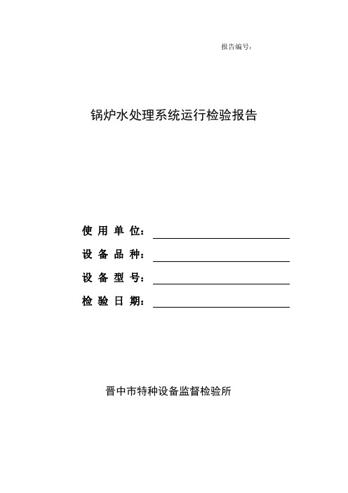 锅炉水处理系统运行检验报告