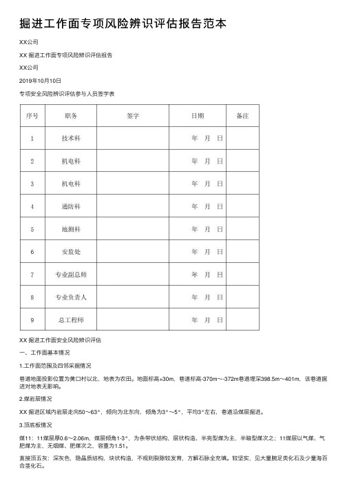 掘进工作面专项风险辨识评估报告范本