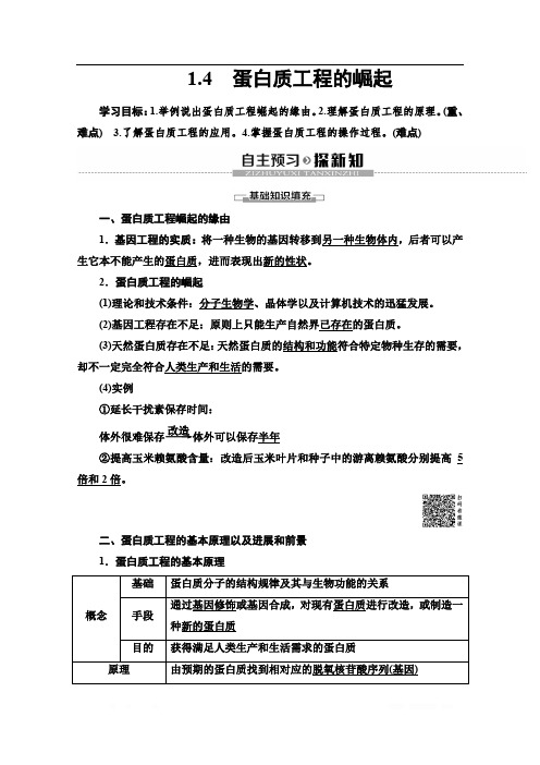 2019-2020学年人教版生物选修三讲义：专题1 1.4 蛋白质工程的崛起 