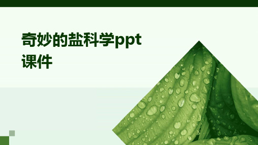 奇妙的盐科学ppt课件