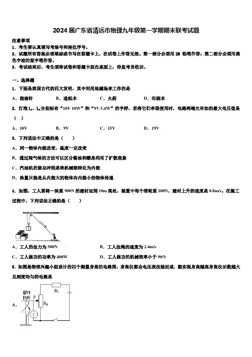 2024届广东省清远市物理九年级第一学期期末联考试题含解析