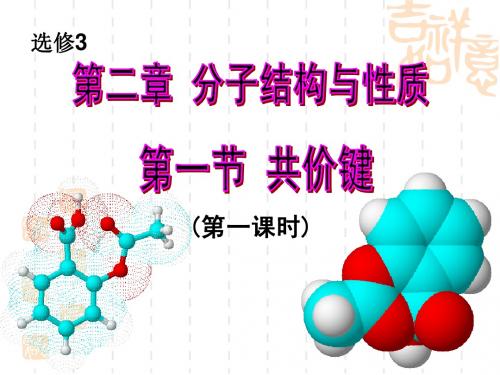 高二化学选修3共价键sk