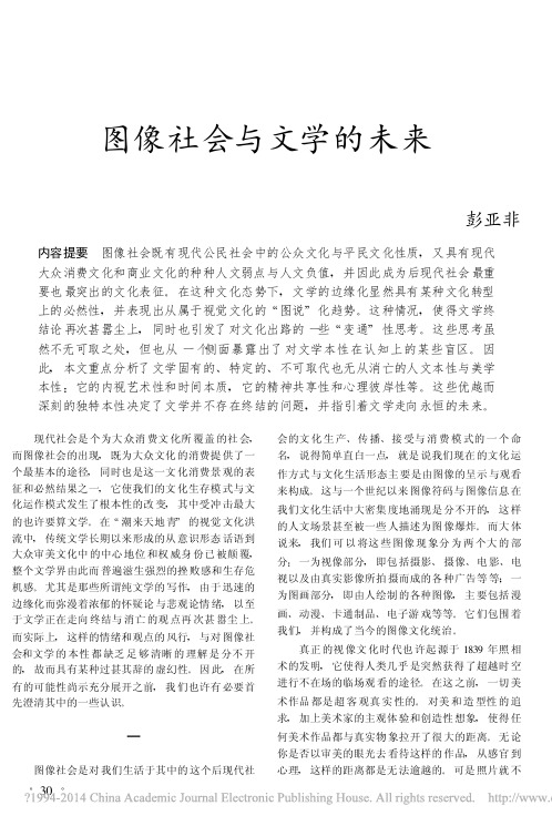 图像社会与文学的未来_彭亚非