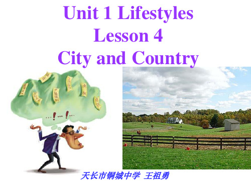 北师大版高中英语必修一unit1 《lesson4 city and country》reading