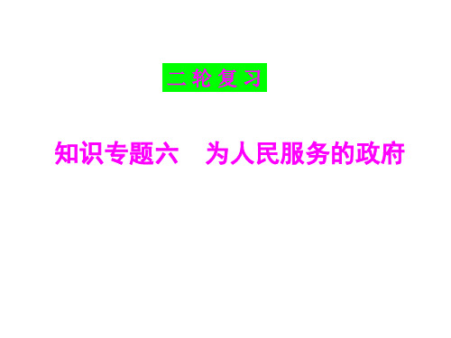 届政治生活二轮复习专题6为人民服务的政府精品PPT课件