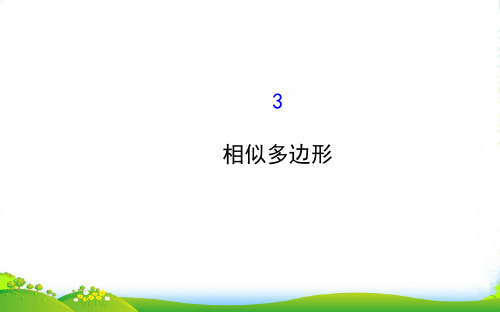 九年级数学上册 第四章 图形的相似 3相似多边形习题课件 北师大版