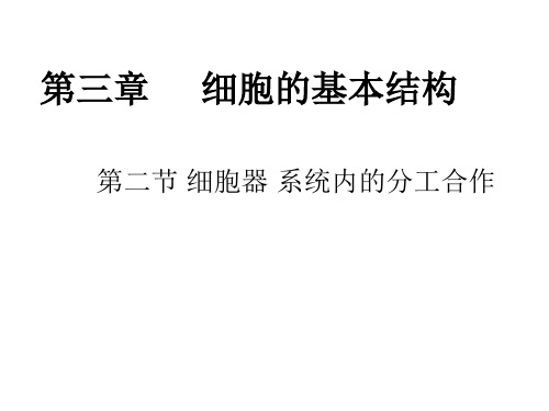 人教版生物必修一3.2细胞器——系统内的分工合作