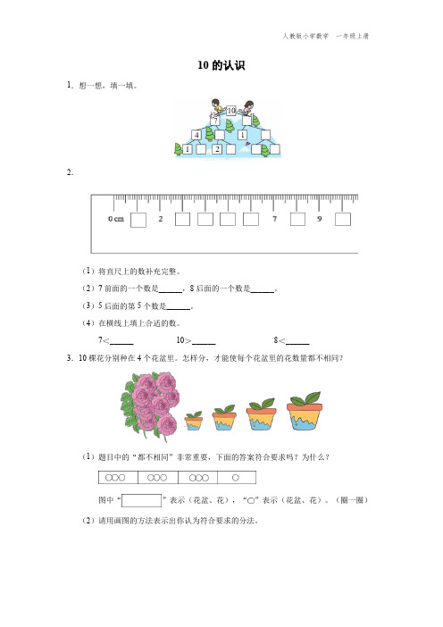 一年级-人教版-数学-上册-[综合训练]-10的认识