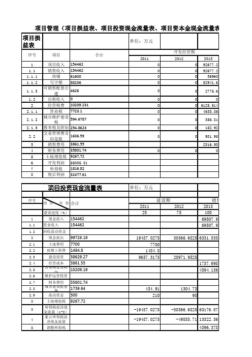 项目管理项目损益表、项目投资现金流量表、项目资本金现金流量表.xls