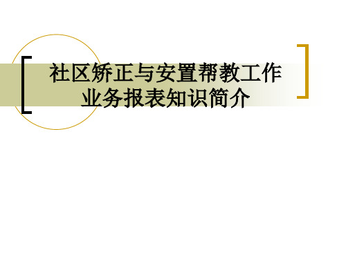 社区矫正报表工作培训(2稿)