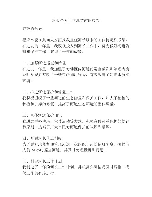 河长个人工作总结述职报告