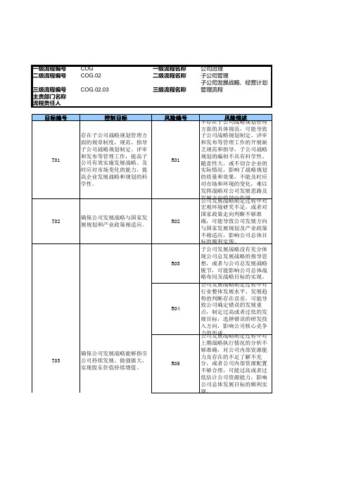 企业子公司发展战略、经营计划管理流程_RCM风险控制矩阵模版.