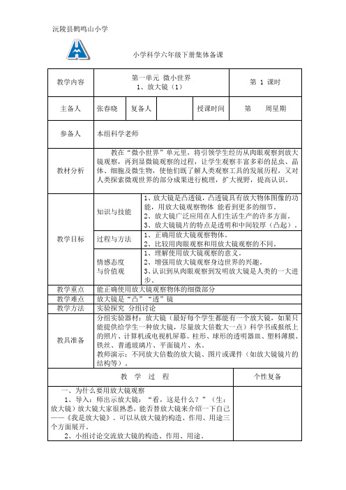 小学科学六年级下册集体备课