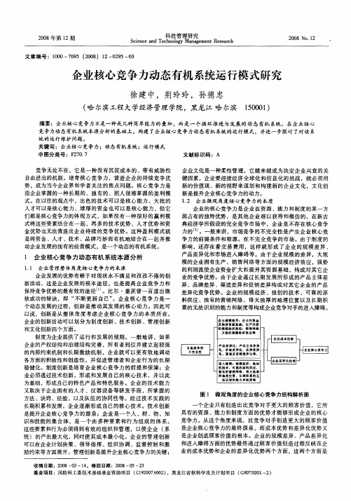 企业核心竞争力动态有机系统运行模式研究