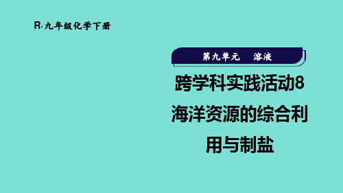 跨学科实践活动8 海洋资源的综合利用与制盐