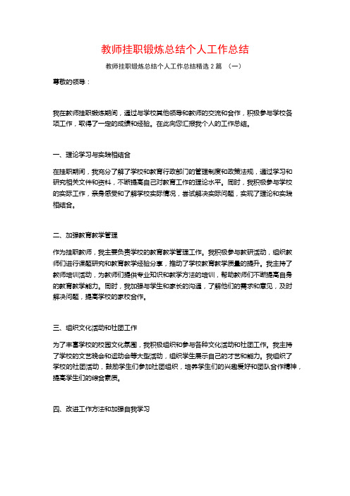 教师挂职锻炼总结个人工作总结2篇