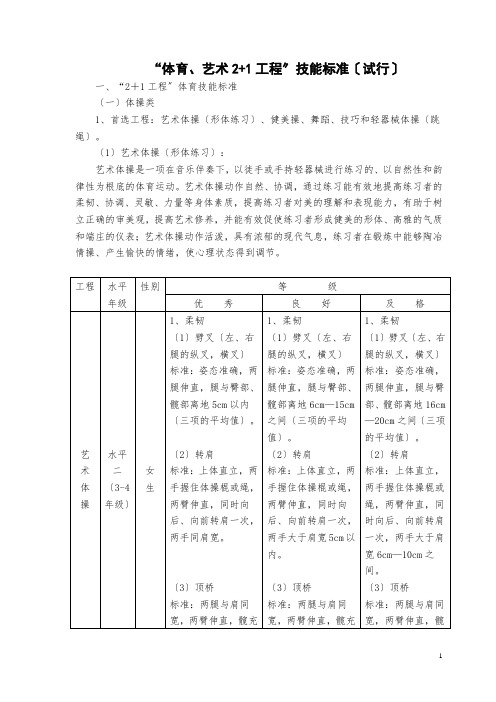 国家体育_艺术21项目技能标准(试行)