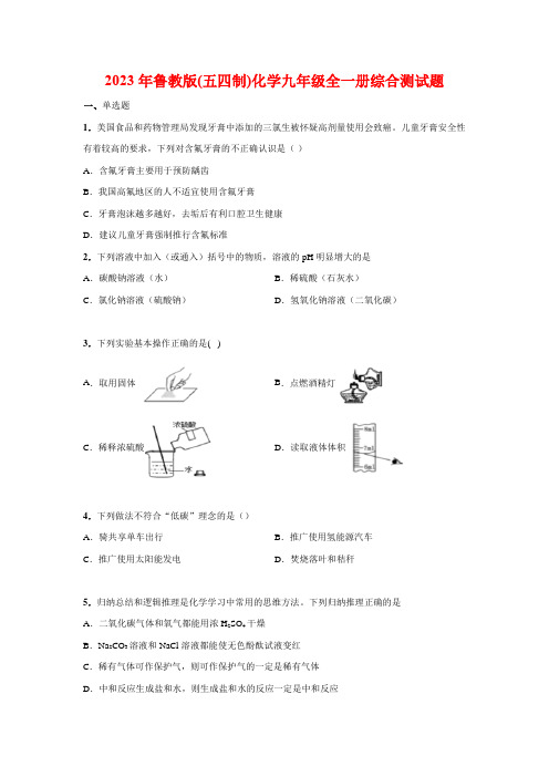 2023-2024学年鲁教版(五四制)化学九年级全一册综合测试题(2)