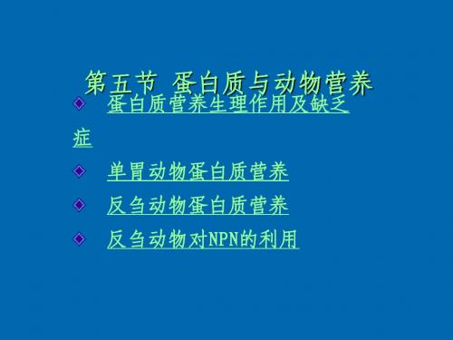 蛋白质与动物营养