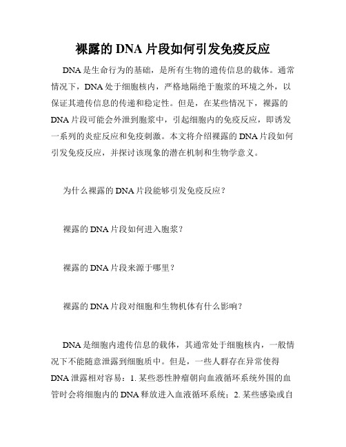 裸露的DNA片段如何引发免疫反应