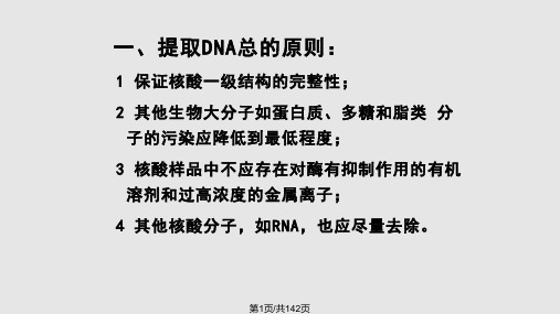 DNA和质粒抽提PPT课件