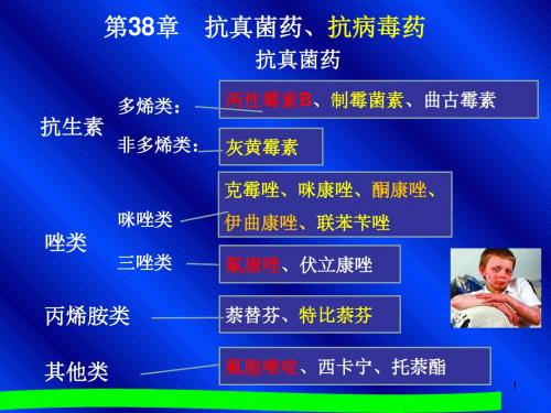 药理学(曹永孝)第38章 抗真菌药、抗病毒药-PPT课件