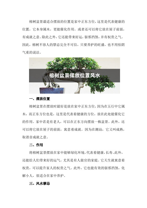 榕树盆景风水详解(摆放位置、作用、风水禁忌)