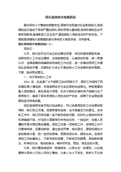 县长森林防火电视讲话