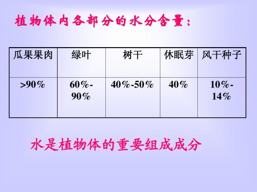 水分进入植物体内的途径