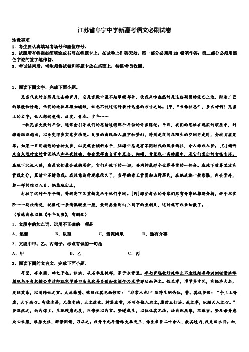 江苏省阜宁中学新高考语文必刷试卷及答案解析