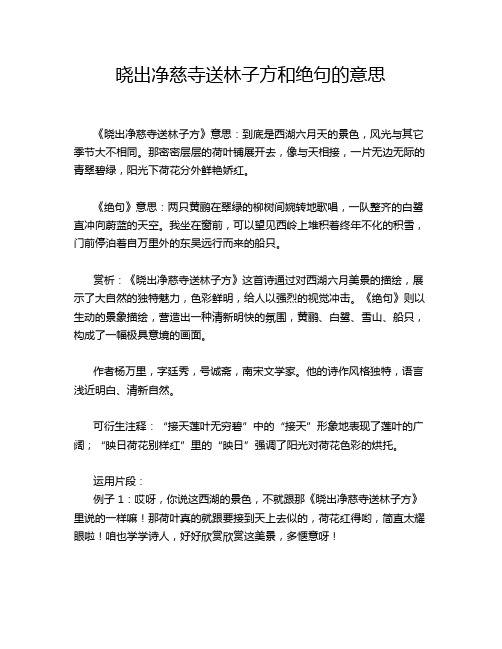 晓出净慈寺送林子方和绝句的意思