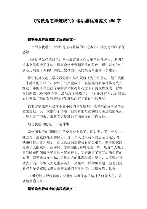 《钢铁是怎样炼成的》读后感优秀范文450字