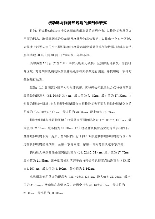 桡动脉与桡神经远端的解剖学研究