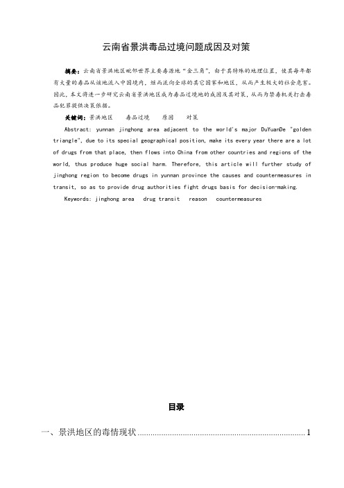 禁毒学专业 云南省景洪毒品过境问题成因及对策