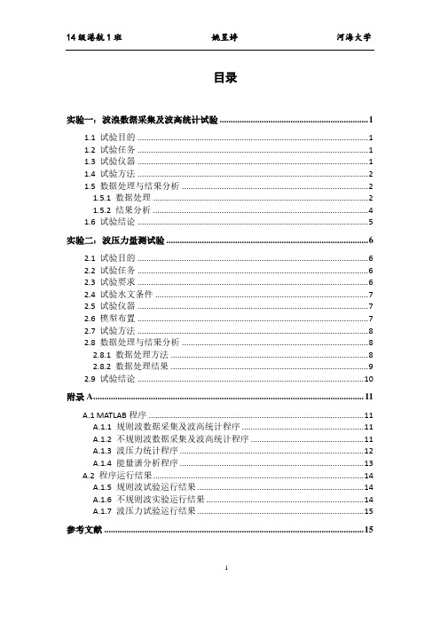 海岸动力学试验(河海大学)