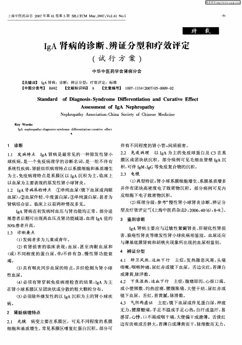 IgA肾病的诊断、辨证分型和疗效评定(试行方案)