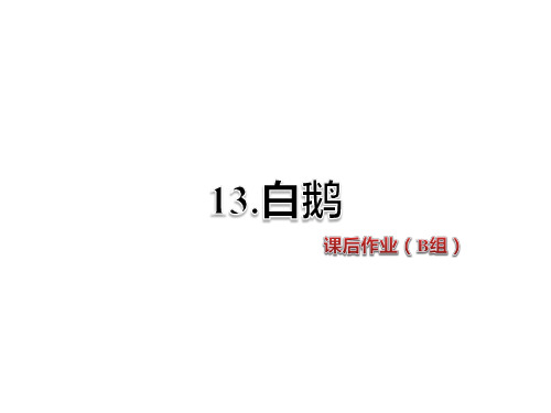 四年级上册语文课件-13.白鹅 课后作业(B组)-人教新课标