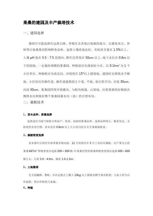 果桑的建园及丰产栽培技术