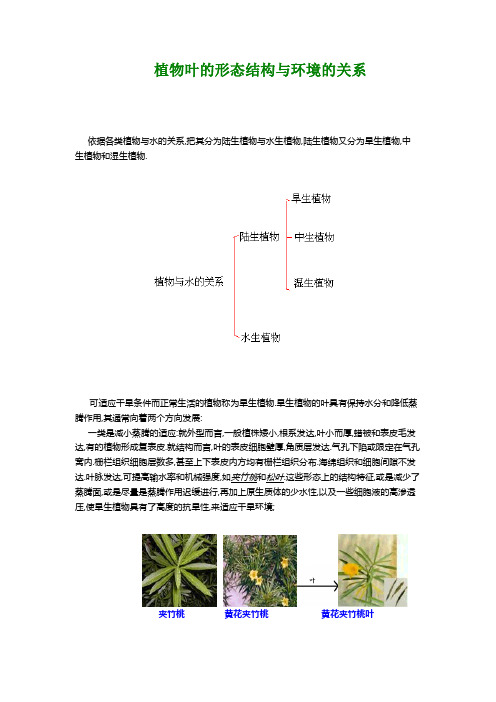 植物叶的形态结构与环境的关系